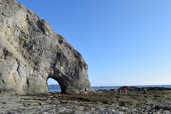 Rialto Beach, Washington + Hole in the Wall hike on the Olympic Peninsula