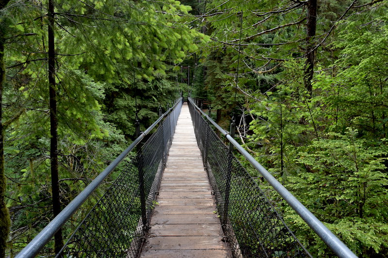 Looking for things to do in Lincoln City? Hike the suspension bridge at the Drift Creek Falls trail. Click for 13 more great ideas for Oregon Coast fun! To & Fro Fam
