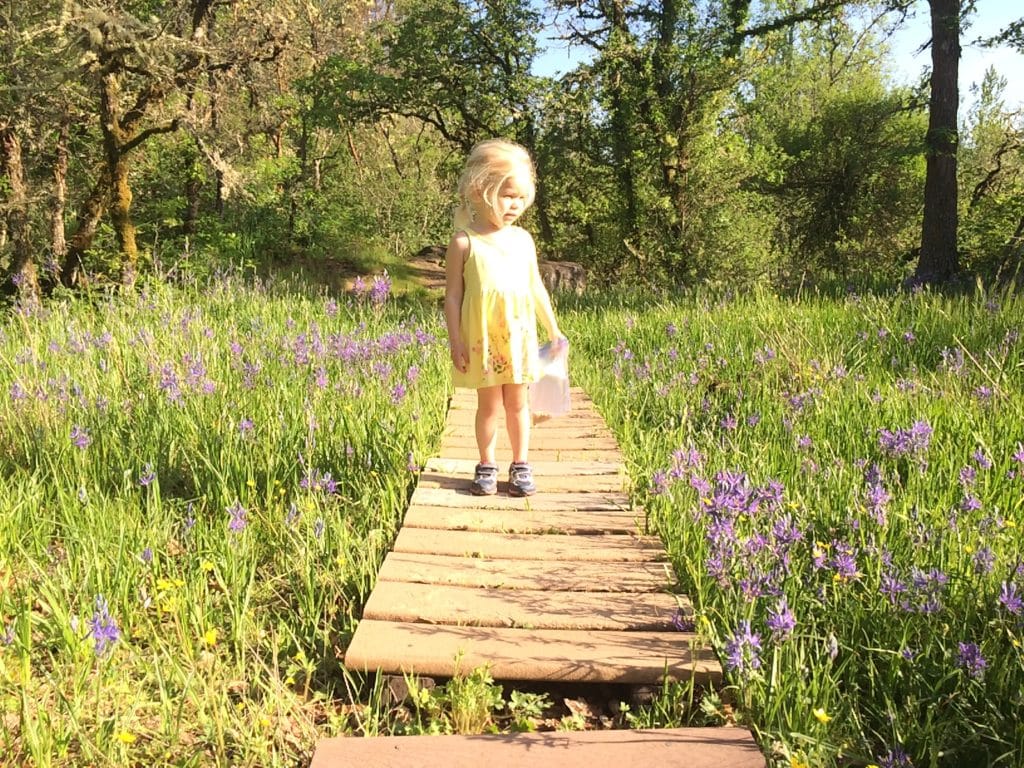 Camassia Nature Preserve in West Linn, OR is one of the most beautiful places to see wildflowers near Portland. Camas blooms here every spring, when you can walk the short loop trail. It's a kid-friendly spot, but no dogs allowed. To & Fro Fam