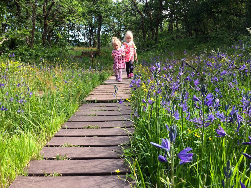 One of the most family friendly hikes near Portland Oregon: Camassia Nature Preserve. The short loop trail winds through wildflowers in the spring. This kid friendly hike is great year-round and is the perfect distance for toddlers. Not good for strollers or dogs. To & Fro Fam
