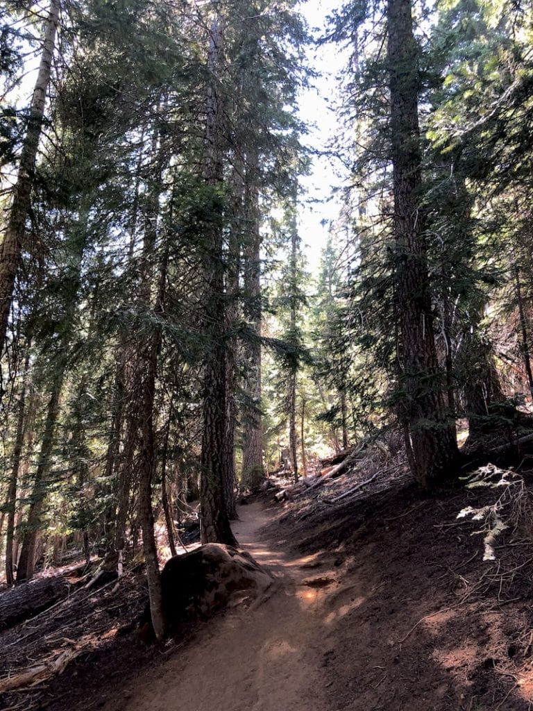 Lucky Lake trail on the Cascade Lakes Scenic Byway is just 3 miles round-trip but it leads to a gorgeous lake. If you're looking for Bend, Oregon lake hikes, Lucky Lake is less popular but no less stunning than other trailheads nearby. To & Fro Fam