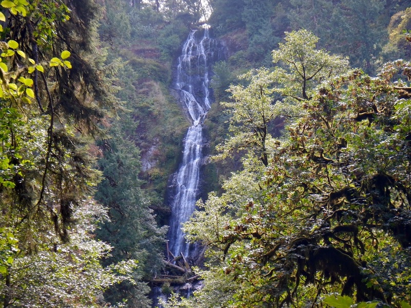 Munson Creek Falls is an easy Oregon Coast hike. A short, easy trail takes you to the highest waterfall on the Oregon Coast. Click for more of our favorite hikes on the Oregon Coast! To & Fro Fam