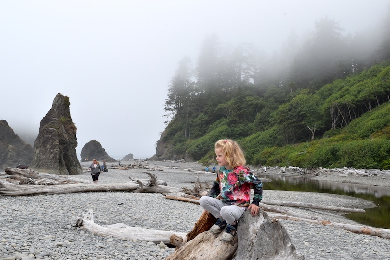 Explore Ruby Beach in Olympic National Park—its rock formations simply beg to be climbed! This destination's easy access and short hike mean it's a great stop for an Olympic Peninsula road trip. It's kid friendly and dog friendly too! To & Fro Fam