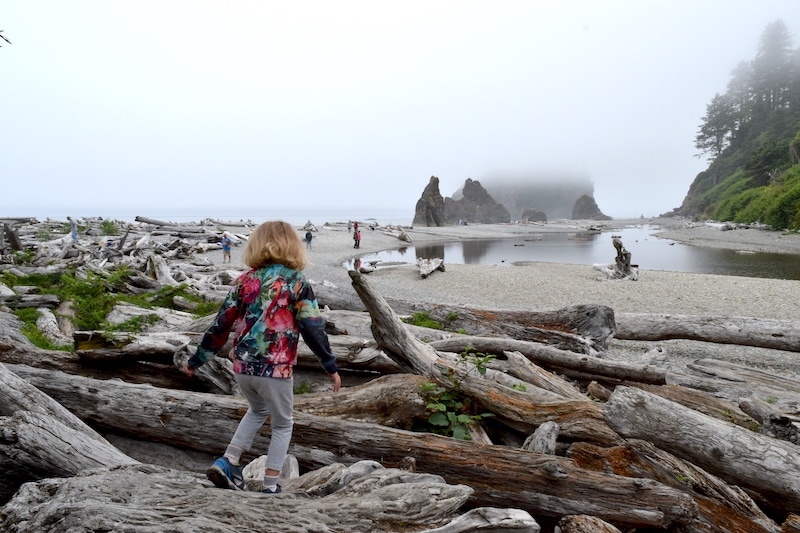 Ruby Beach in Olympic National Park has an easy hike to the beach. Just a quarter mile walk takes you to a dramatic spot with driftwood and sea stacks. This kid friendly hike is also good for dogs! To & Fro Fam