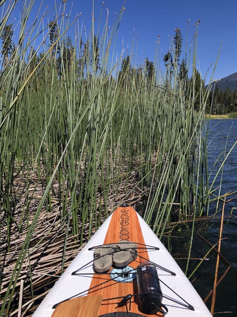 Looking to explore nature in Central Oregon? Check out Hosmer Lake on the Cascade Lakes Highway near Bend and Sisters, OR. It's perfect for SUP, canoes, kayaks, fishing, birding and camping. To & Fro Fam