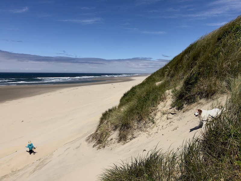 The Oregon Coast sand dunes are unlike anything you've ever seen. Mountains of sand slant steeply into the Pacific Ocean. The dunes near Florence, OR—like these at South Jetty—are some of the most dramatic in the state! To & Fro Fam
