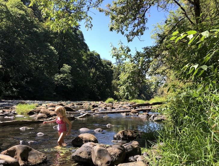 Swift Shore Park in West Linn, OR is one of the best swimming holes near Portland, Oregon. On the Tualatin River, this little park has a small rapid and rope swing. It's also kid-friendly because of the slow-moving water and wading areas. To & Fro Fam