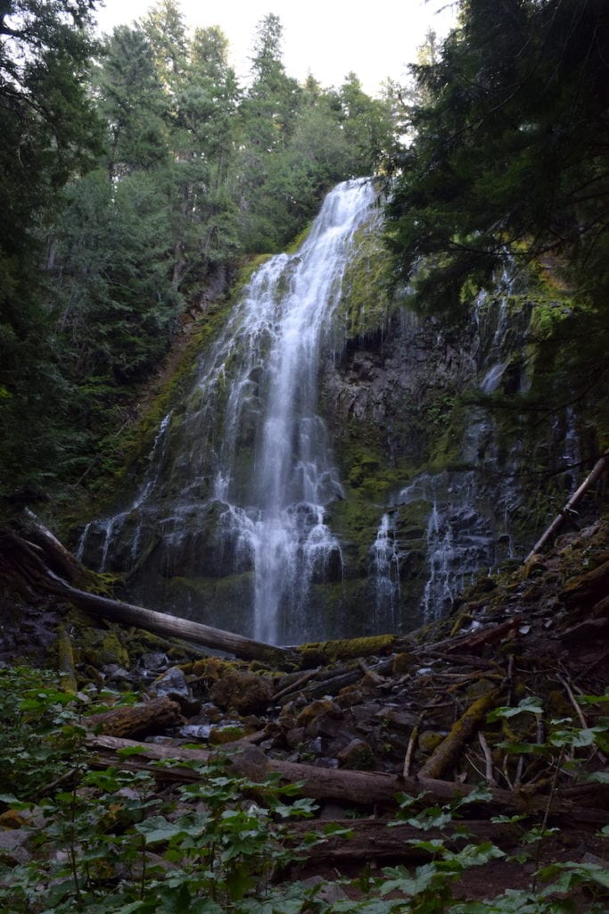 Looking for an easy hike in Oregon? Proxy Falls Trail includes *two* beautiful (and Instagrammable!) waterfalls in an easy. 1.6-mile hike. This trail is between Eugene, OR and Sisters, perfect for a stop on an Oregon road trip! To & Fro Fam