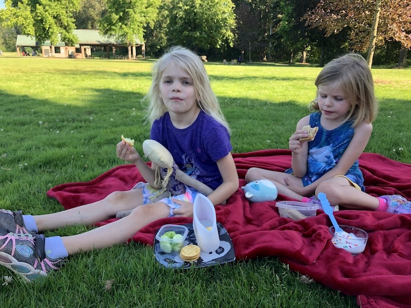 Got picky kids? No prob. These strategies to feed selective eaters on vacation also save money! Stress less about a family vacation when you try out these ideas to save money on food on vacation while keeping everyone fed and happy. To & Fro Fam