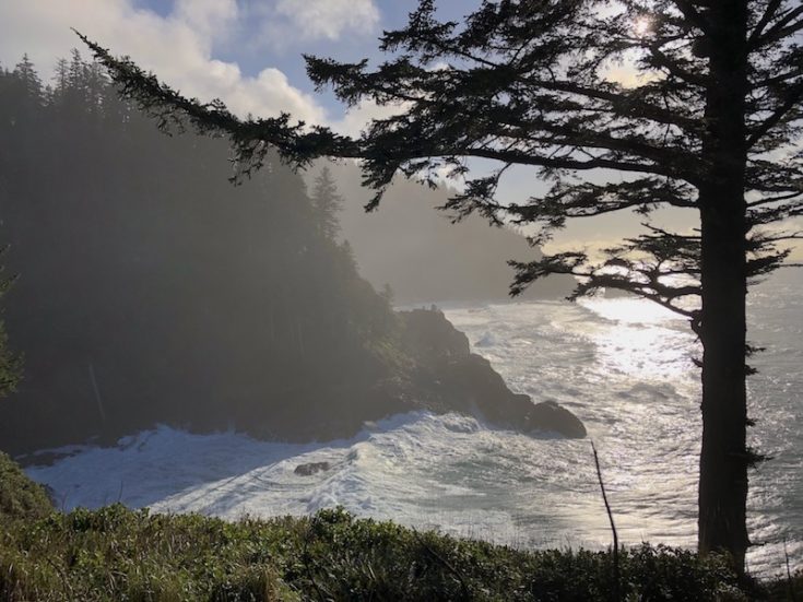 Hart's Cove: One of the most beautiful Oregon spots. This Oregon Coast hike takes you through protected lands and forest to a stunning view of the crashing Pacific Ocean and a waterfall. Don't miss this unique hike! To & Fro Fam