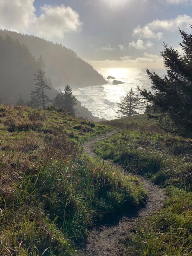 One of the best Oregon hikes: Hart's Cove Trail is a moderate out and back hike on the Oregon Coast. Walk through rainforest and native prairie headlands to see the dramatic views of the Pacific Ocean, Hart's Cove and Chitwood Falls. To & Fro Fam