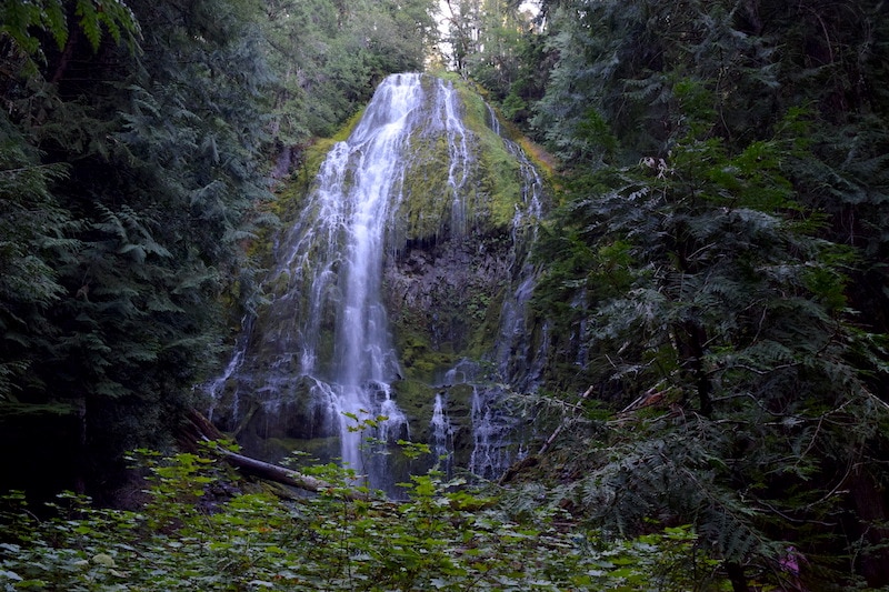 One of the most beautiful waterfalls in Oregon: Proxy Falls, near the McKenzie River and Eugene, OR! An easy hike brings you to not one but TWO stunning waterfalls. Admire the scenery or take a few photos in one of the most Instagrammable spots in Oregon. Click for all the details! To & Fro Fam