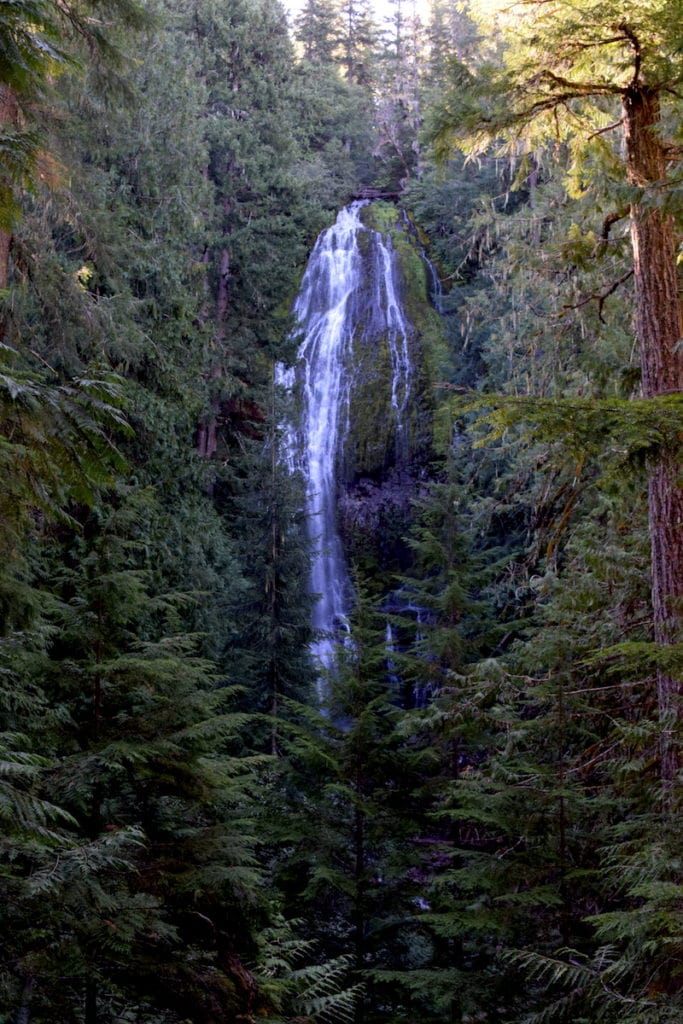 Looking for an easy hike in Oregon? Proxy Falls Trail includes *two* beautiful (and Instagrammable!) waterfalls in an easy. 1.6-mile hike. This trail is between Eugene, OR and Sisters, perfect for a stop on an Oregon road trip! To & Fro Fam