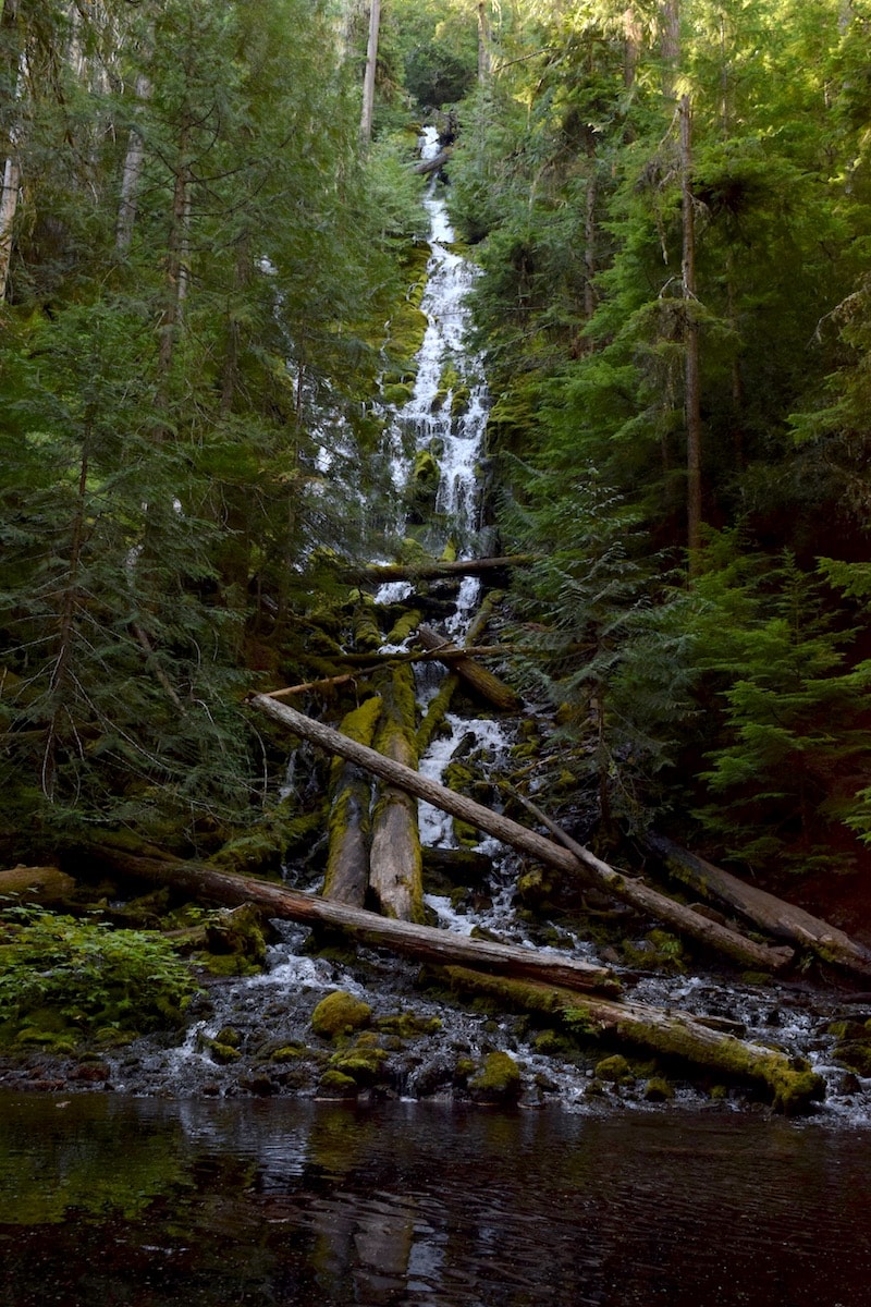 Picture-perfect Proxy Falls, Oregon: Trail details for an easy ...