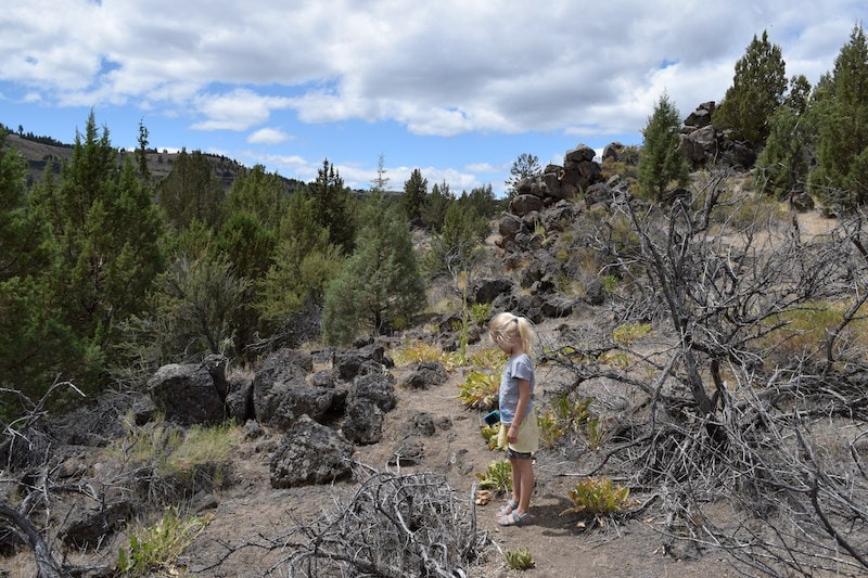 Exploring Central Oregon with kids: Things to do near Bend, OR with your family. We love Lake Billy Chinook, where you can explore an  island on the lake, swim, go camping, hike and much more. There's even a petroglyph here! Click for all the details. To & Fro Fam