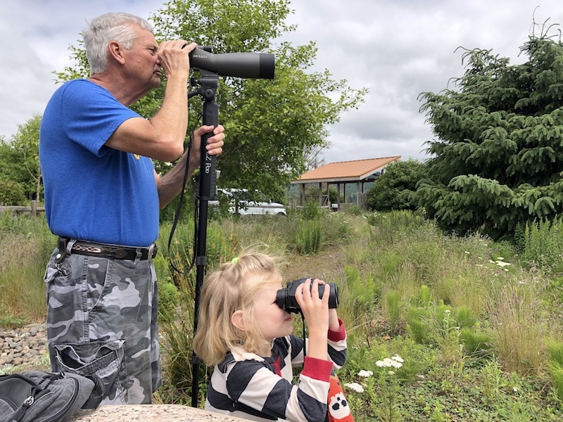 Bird watching on the Oregon Coast: Where to see migrating and resident birds near Pacific City and Neskowin, OR. To & Fro Fam
