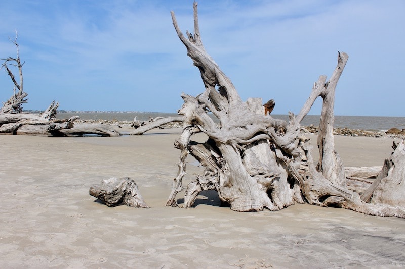 Golden Isles, Georgia: The perfect destination for kids and grandparents! Click for ideas of things to do and where to go on a trip with extended family. To & Fro Fam