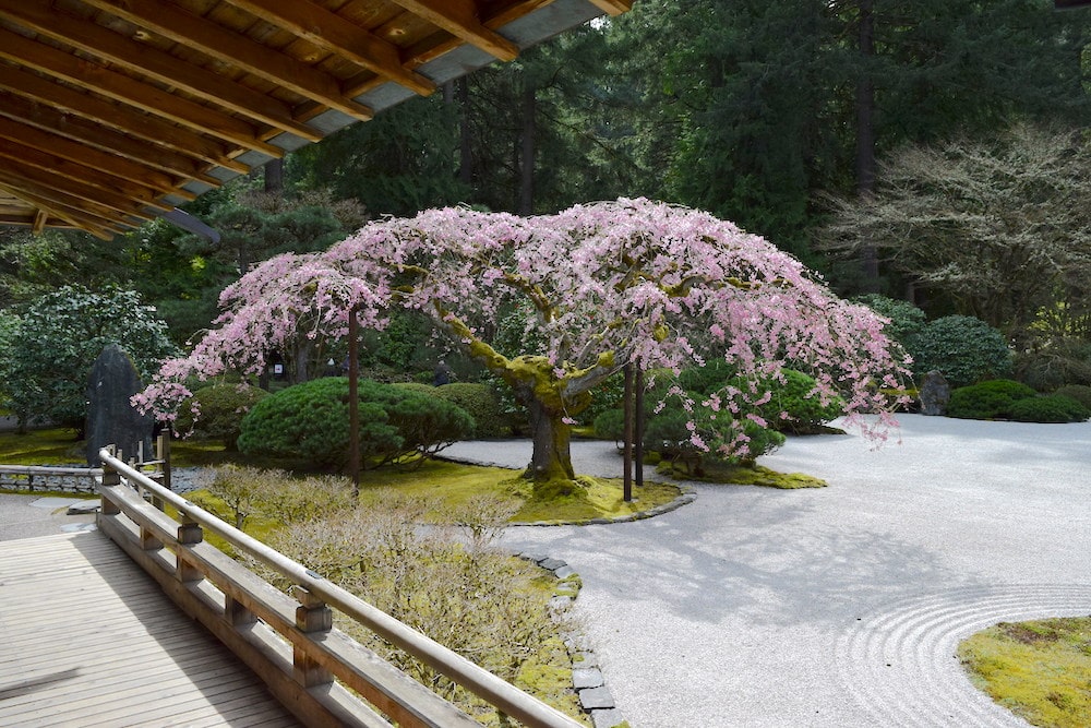 The Portland Japanese Garden is one of the most beautiful spots in the city. Add visiting the gardens to your list of things to do in Portland, Oregon so you can see spring cherry blossoms and fall Japanese maple leaves. To & Fro Fam