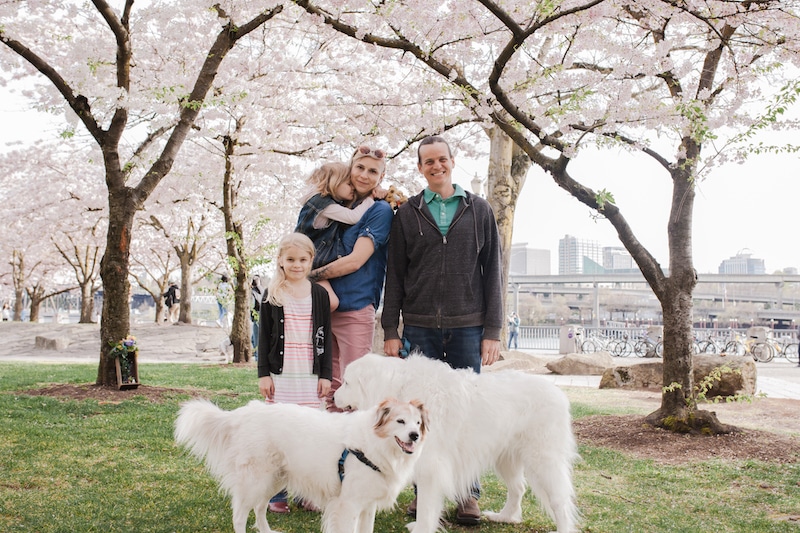 Where to see cherry blossoms in Portland, Oregon—one of the best things to do in Portland in spring: The waterfront park in downtown Portland is the best place to see these blooms! Click for more details *and* info on other flower festivals in Oregon. To & Fro Fam