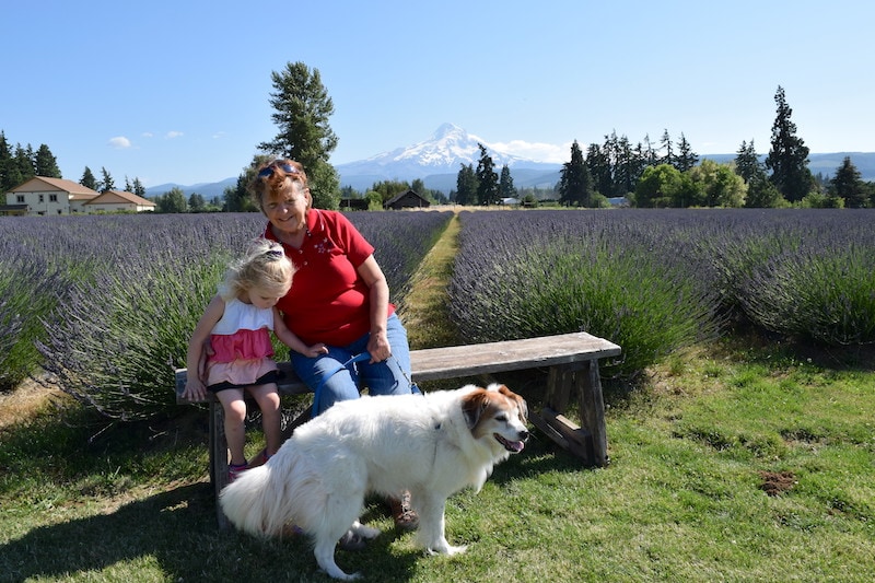 Your kids are this age only once—and the same can be said for your parents! Plan a vacation with grandparents and grandkids to cement those bonds and make memories together (like here in these lavender fields on Mt. Hood, Oregon!). Click for the best advice for multigenerational vacations. You won't ever forget this trip. To & Fro Fam