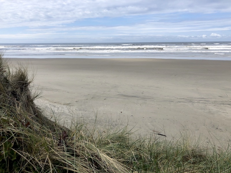 The best things to do in Yachats, Oregon: Even if you've never heard of Yachats, make sure to stop here on your Oregon Coast road trip. Click for my recommendations of  restaurants, hikes, wildflower peeping and epic views! To & Fro Fam