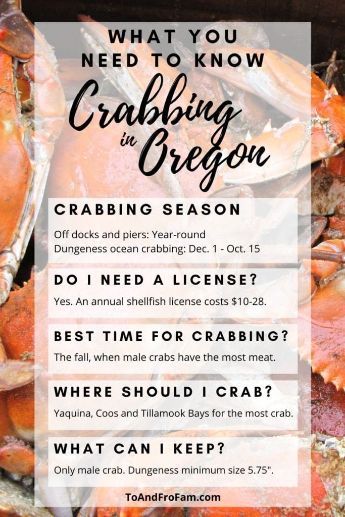 Want a unique thing to do on the Oregon Coast? Try crabbing! Here are the details you need RE crabbing in Oregon. To & Fro Fam