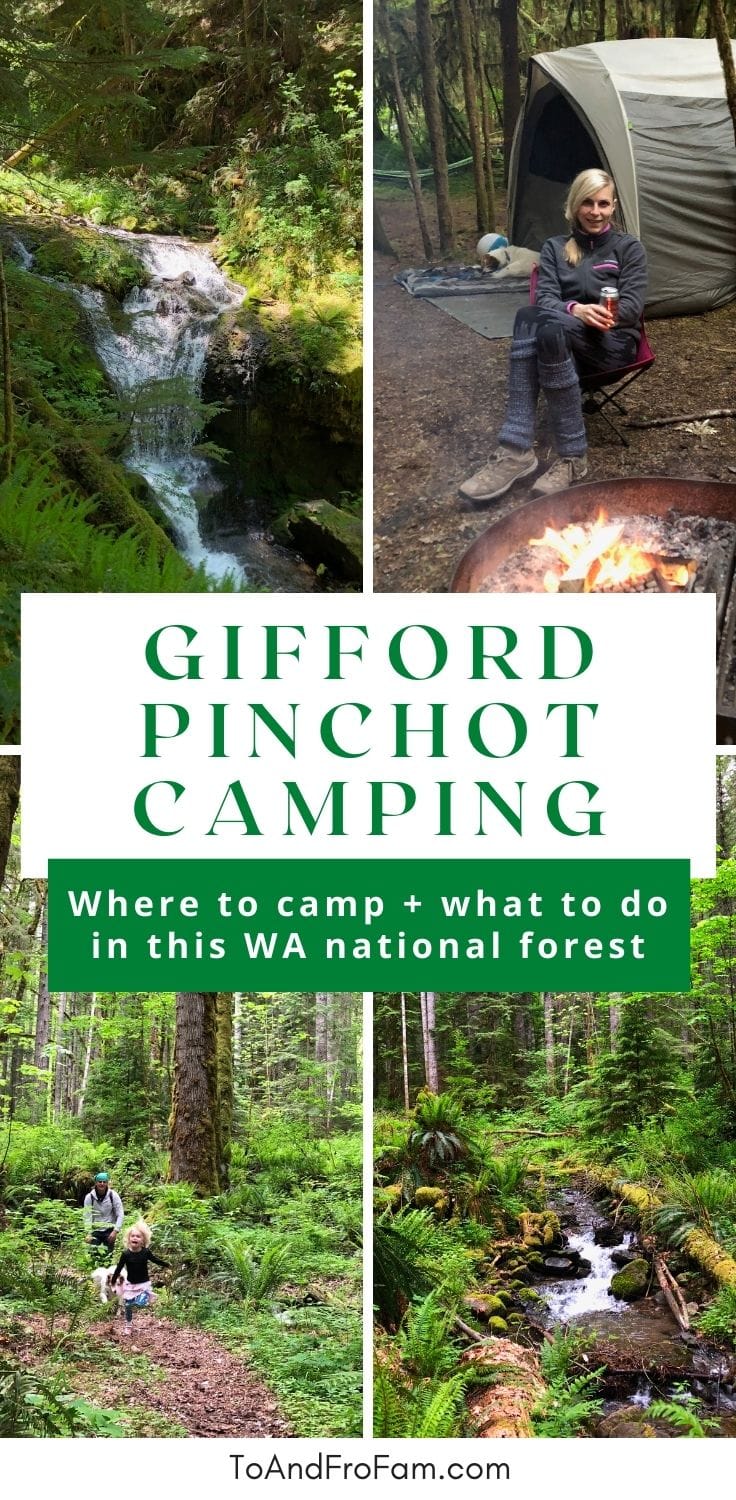 Stunning Gifford Pinchot National Forest: Camping, Waterfall Trails + More