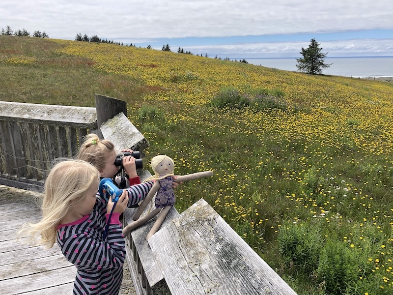 Free things to do on the Oregon Coast: Visit Nestucca Bay National Wildlife Refuge. Go on wildflower hikes, go whalewatching, go bird watching, and explore nature. To & Fro Fam