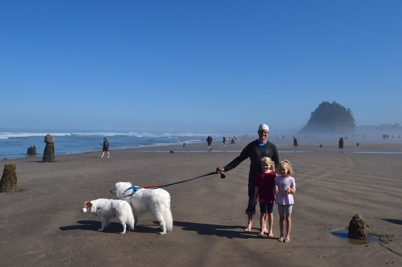 Your guide to Oregon Coast beaches, hikes, towns, and things to do—written by a local! If you're taking an Oregon Coast road trip, don't miss this super-thorough post all about where you should stop and what to do. To & Fro Fam