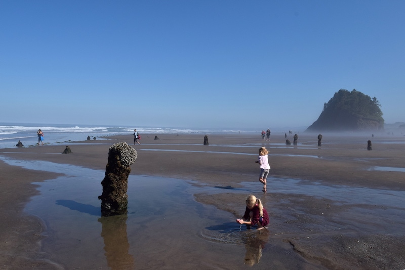 If you want a unique experience on the Oregon Coast, you need to see the Ghost Forest. This little-known phenomenon in Neskowin, Oregon reveals an ancient forest of petrified trees at minus tides. Located between Pacific City and Lincoln City, OR, this unusual Oregon thing to do is unlike anything you'll find elsewhere. To & Fro Fam