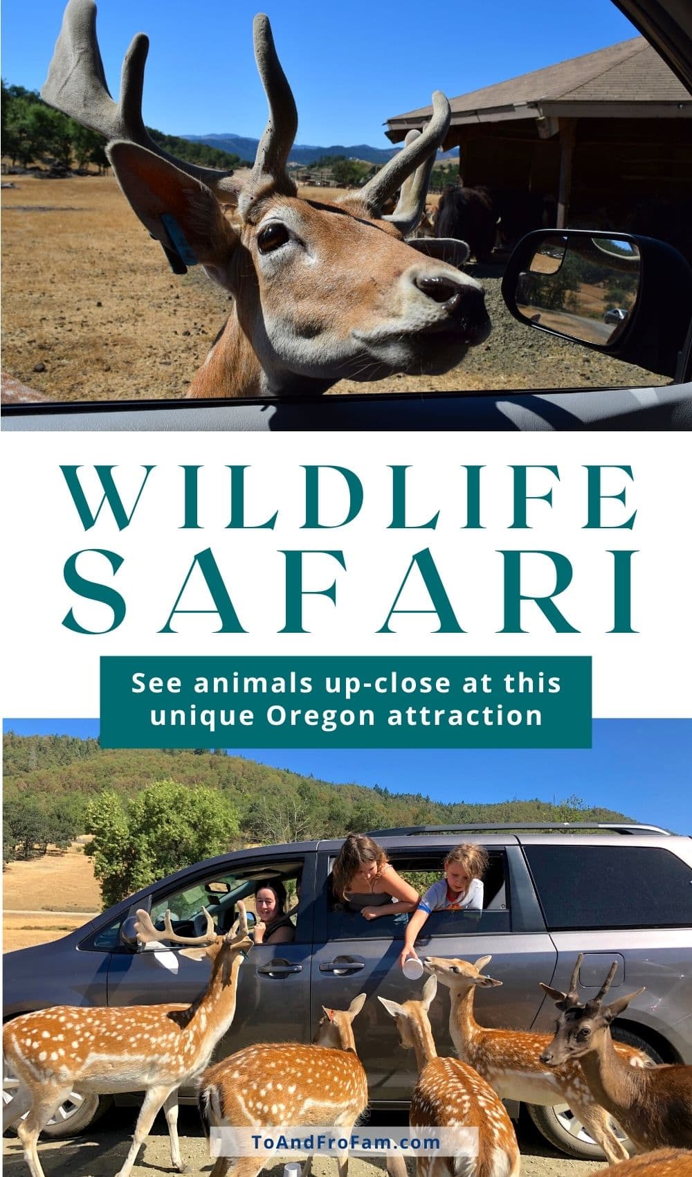 wildlife safari winston directions