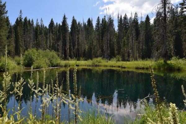 The Best Mt. Hood Lakes: Stunning scenery + hikes near Portland, Oregon
