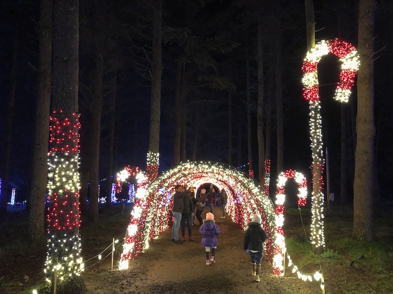 Oregon Christmas Lights you'll never forget: The epic display at Christmas in the Garden in Silverton, OR (near Salem and Portland), includes a European style Christmas market and more than a million lights! Plan this fun holiday thing to do with kids, family and friends to celebrate Christmas in a big way! To & Fro Fam