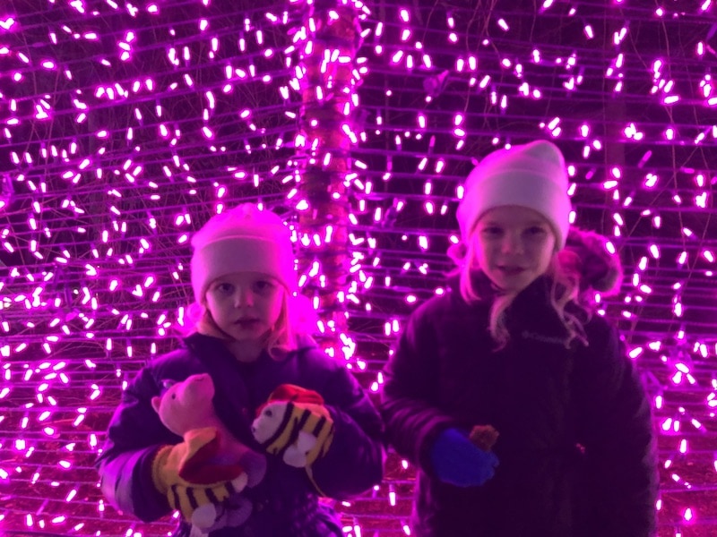 Oregon Christmas Lights you'll never forget: The epic display at Christmas in the Garden in Silverton, OR (near Salem and Portland), includes a European style Christmas market and more than a million lights! Plan this fun holiday thing to do with kids, family and friends to celebrate Christmas in a big way! To & Fro Fam