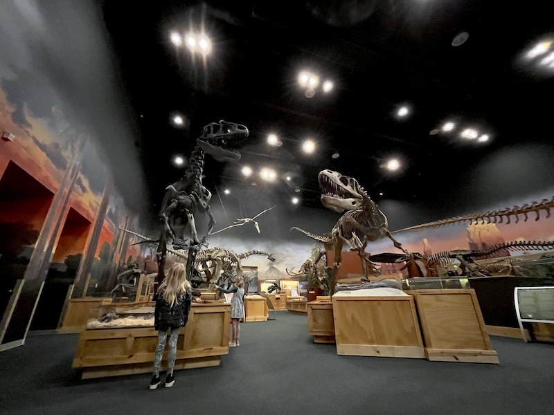 Ogden Utah Paleontology Museum / things to do with kids. To & Fro Fam