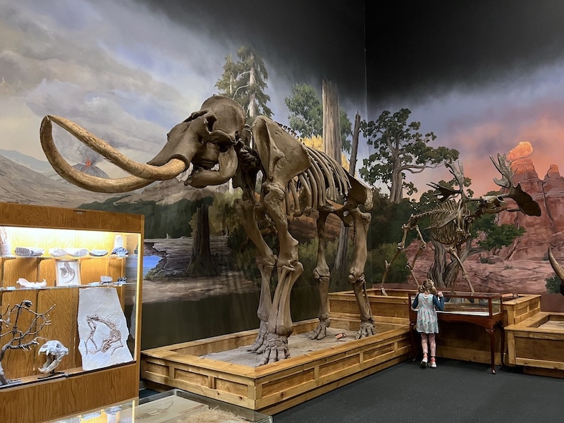 Museum of Paleontology Ogden Utah / To & Fro Fam