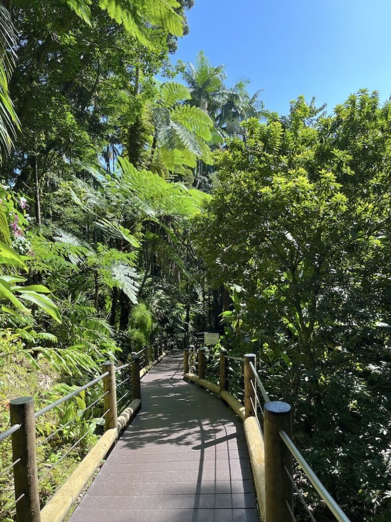 Hawaii Tropical Botanical Garden: One of the best things to do in Hilo and on the Big Island! Great for kids and families, this easy hike takes you through tropical rainforest. Just 15 minutes from Hilo, this hidden gem is a must-see spot in Hawaii! To & Fro Fam