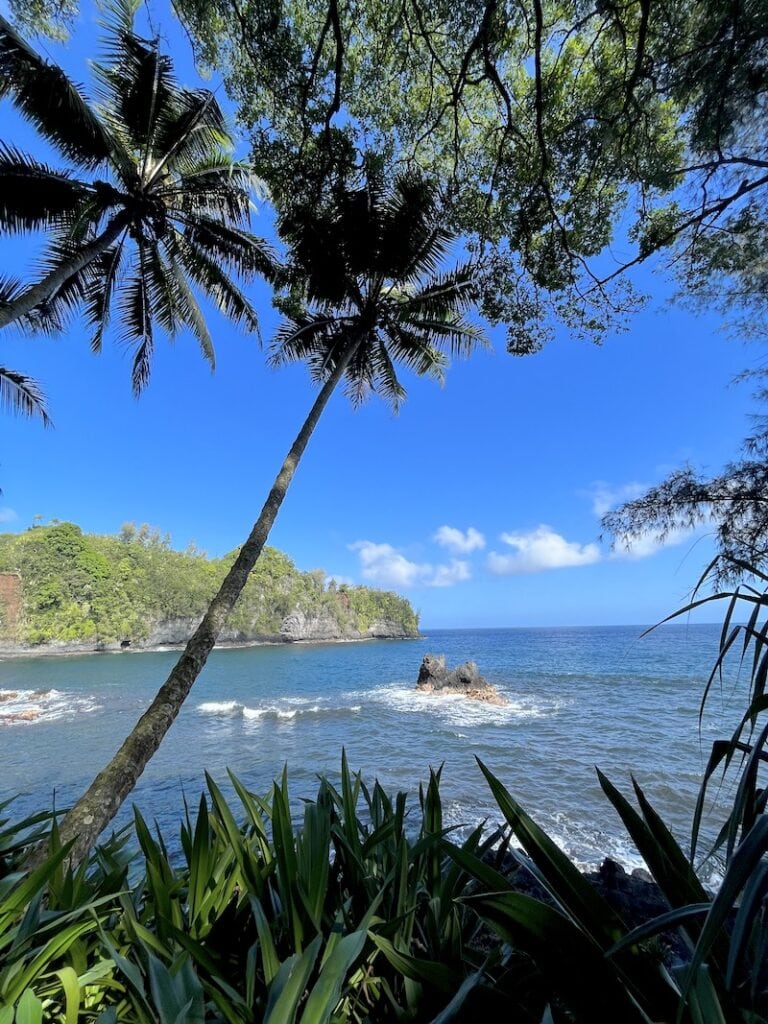 Hawaii Tropical Bioreserve and Garden: One of the best things to do in Hilo and on the Big Island! Great for kids and families, this easy hike takes you through tropical rainforest. Just 15 minutes from Hilo, this hidden gem is a must-see spot in Hawaii! To & Fro Fam