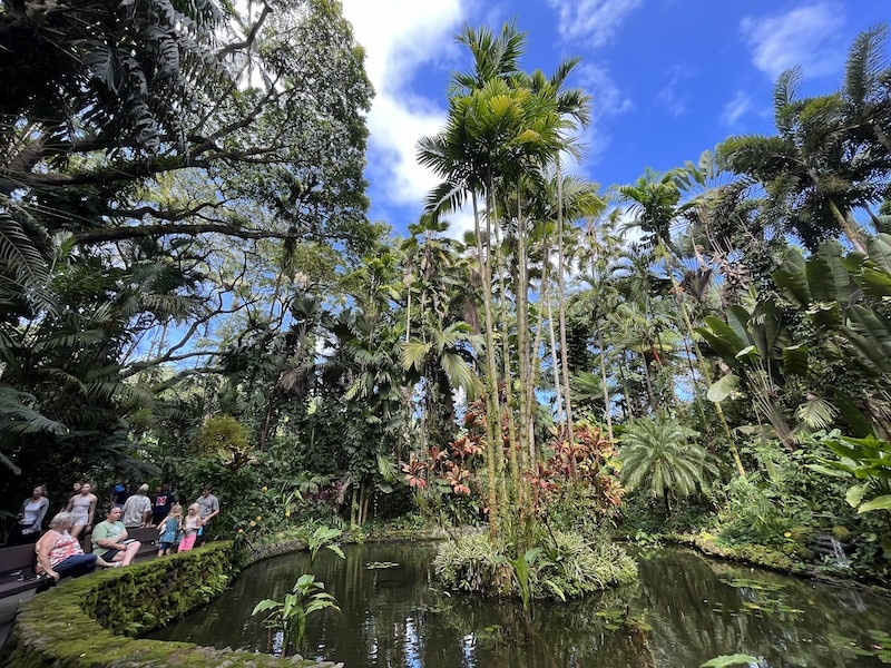 Beautiful Hawaii Tropical Botanical Garden: The gorgeous Hawaii botanical gardens on the Big Island include an easy hike—and one of the best things to do in Hilo, Hawaii. To & Fro Fam