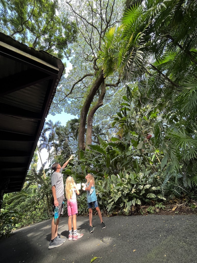 Is the Hawaii Tropical Botanical Garden good for kids and families? Things to do Hilo, Hawaii // To & Fro Fam