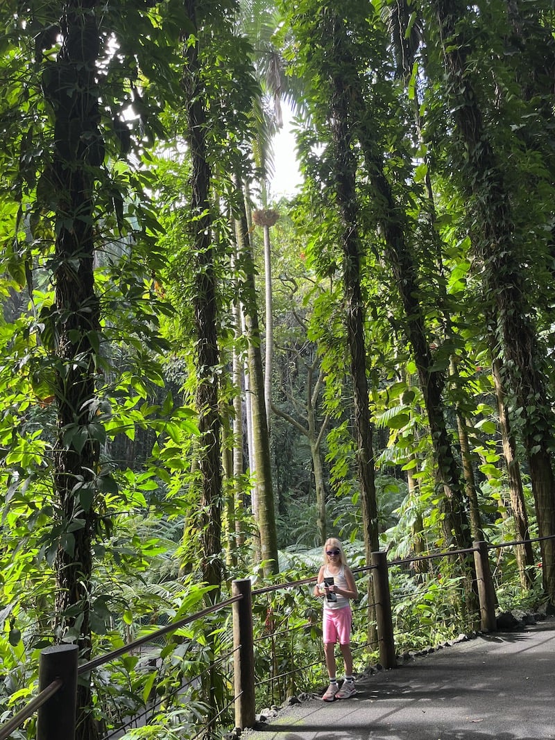 Hawaii Tropical Botanical Garden: One of the best things to do in Hilo and on the Big Island! Great for kids and families, this easy hike takes you through tropical rainforest. Just 15 minutes from Hilo, this hidden gem is a must-see spot in Hawaii! To & Fro Fam