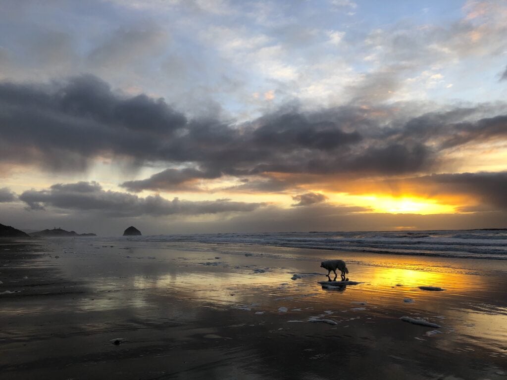 Sunset in Pacific City, Oregon, with beautiful Haystack Rock in the distance. Pacific City is a dog-friendly Oregon Coast town. To & Fro Fam